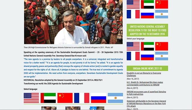screenshot of middle section of IIMSAM home page